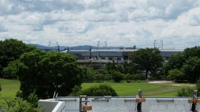 385 京都水族館 イルカが空を飛ぶ!