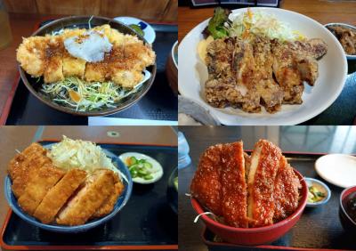 カツ丼求めて静岡&長野 ついでに観光