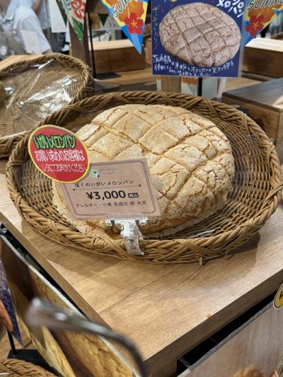 北関東周遊サ旅の記 茨城篇 ~まずは墓参と久しぶりの関東方面ドライブへ~