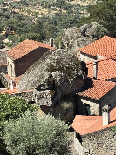 美味しいポルトガル　イワシの塩焼き&amp;バカリャウ&amp;トリパス食べまくり　その5