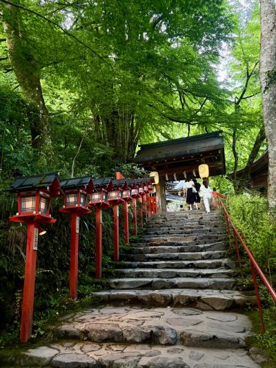 京都散策… どこも訪日外国人だらけですね（貴船神社、伏見稲荷大社など）