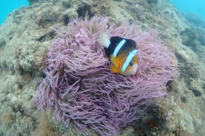 【旅行記】2025年７月沖縄本島の旅・２日目＆３日目～ゴリラチョップと雷雨に悩む～