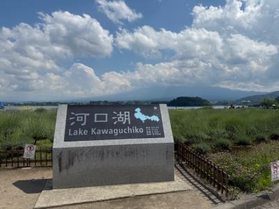 富士山を眺めながら温泉に入りたくて