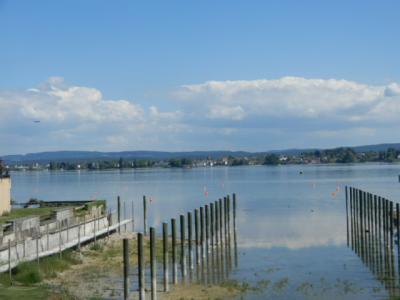 ２０２５年春　６年ぶりのドイツ＆オーストリア【１１】念願のシュタイン・アム・ラインへ！