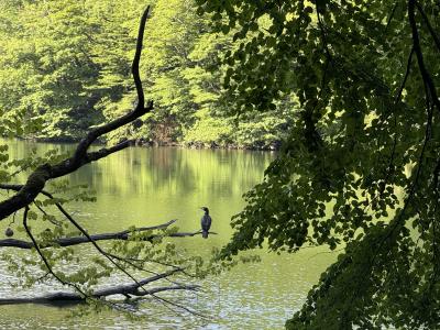 真夏の東北へ 1 青森 弾道ミサイル落下時って??