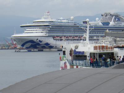 青と緑を巡る旅 ～函館・積丹・美瑛の風景日記～　1日目