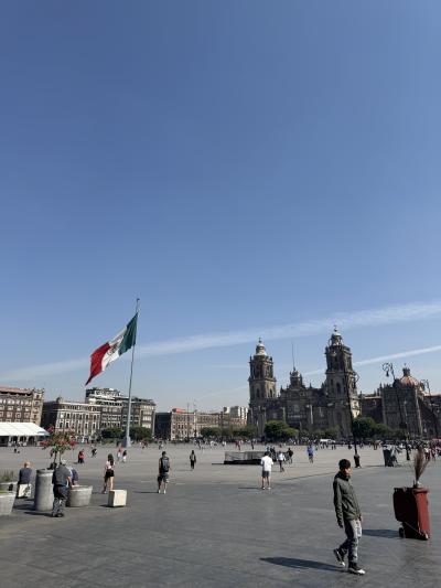 メキシコシティ 2025タコス食べ歩き⑧