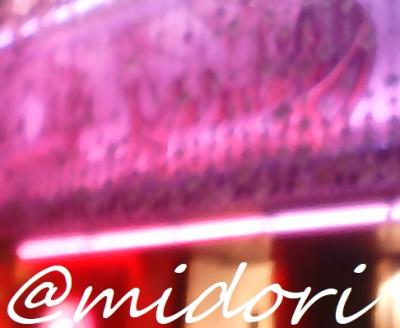 2️⃣つの🈷️~『大阪万博(3️⃣回目)』参戦ﾚﾎﾟ~