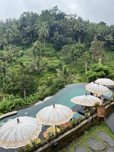 バリ島　4日目　ウブド