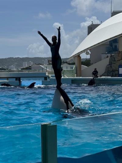 近場と思って行った鴨川だったけれど、思い切り楽しんだ1日に。