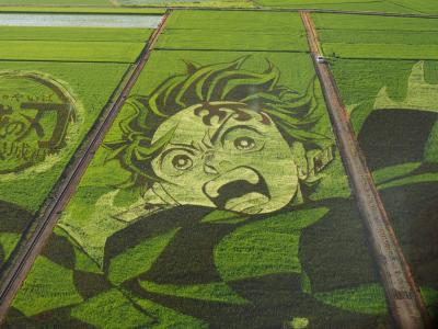 今年は大混雑！鬼滅の刃コラボ・行田市田んぼアート２０２５