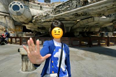 カリフォルニアディズニーはしごしたよ【伯母と甥の初ロサンゼルスその8】