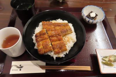 海洋堂・むなぎん・高知県立美術館ウェッジウッド☆紫陽花の頃・アンパンマンの高知ひとり旅2025.6④