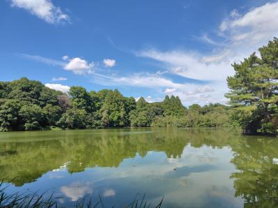 石神井公園散歩とひとり飲み