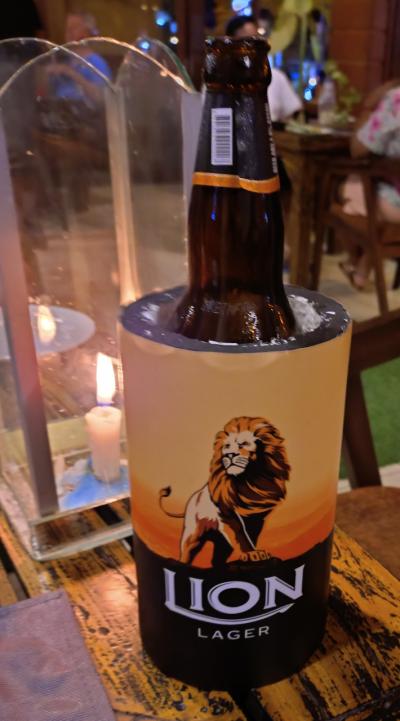 アラフィフ夫婦のスリランカ 1日目<スリランカ入国>