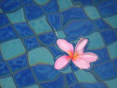 10回目のバリ島は初海外一人旅⑥