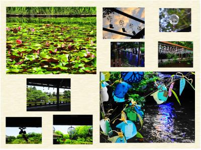 風鈴の一つ鳴りたる涼しさよ～猛暑の夏　京都人の密かな愉しみ～