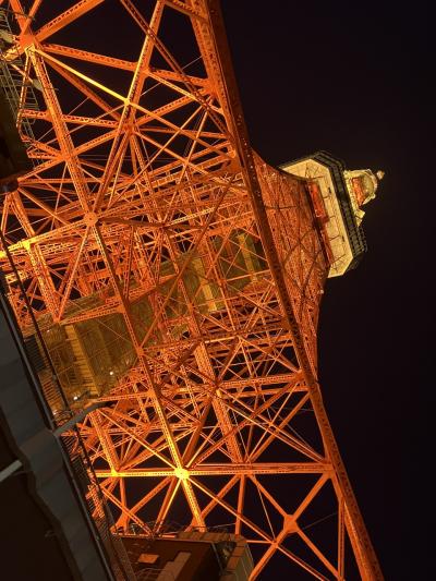 大手町ランチとはとバス夜景ツアー