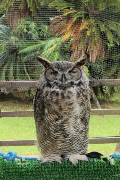 二度目の九十九島 2 九十九島動植物園と石岳展望台