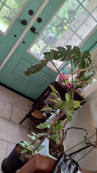 　HIBIKI ＆”ハワイアンキュィジーヌ”で会食を～