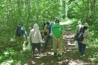 森のキノコは猛暑・雨無しでも元気だよ