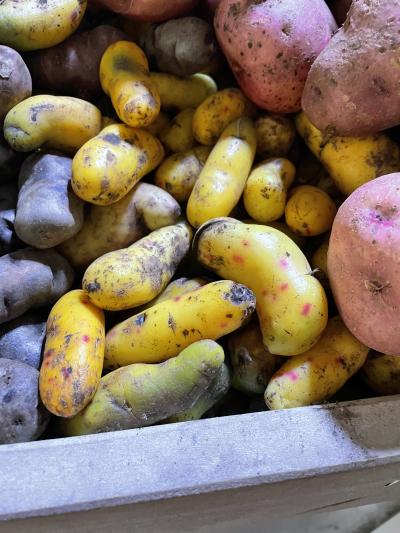 逆季節のペルーに旅