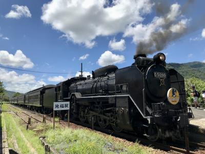 2025夏の青春18きっぷの旅　3号車【SLやまぐち号に乗車し飛行機で帰京】