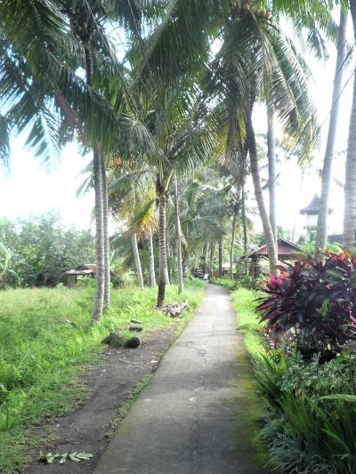 2025.夏 シンガポール航空で行くバリ島5泊6日（前編：成田からウブド）