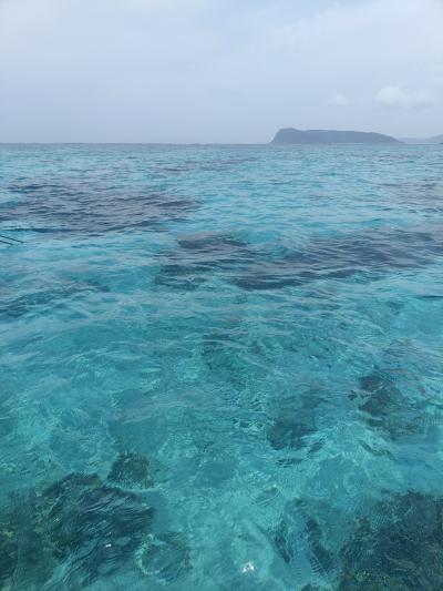 西表島★シュノーケル最高！