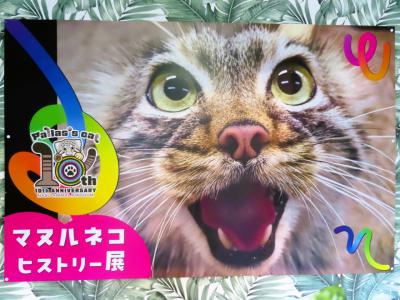 那須レッサーパンダ６月遠征は１ヶ月前倒し（４）那須どうぶつ王国ハイライト２＆マヌルネコヒストリー展～わんにゃんリビング以外ひととおり回れた