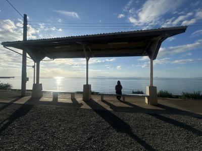 いねねこ旅行記(2025.7愛媛)