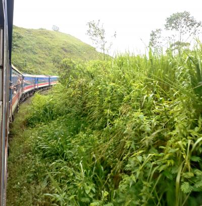 アラフィフ夫婦のスリランカ 5日目<高原列車からセイロンティー工場ホテル>