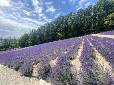 北海道 ドライブ旅 3️⃣