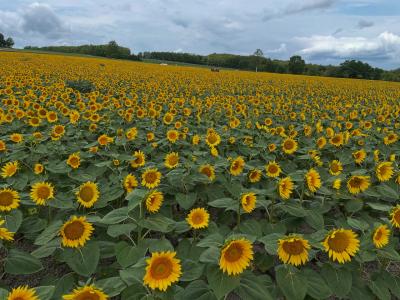 2025年 北海道ぐるり3／4周の旅 １日目　　千歳 → 留萌 → 豊富温泉