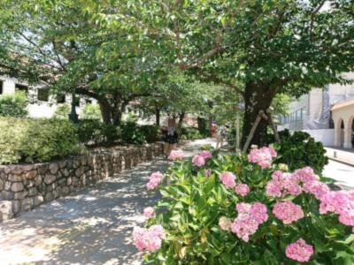 花と緑あふれる宝塚散策