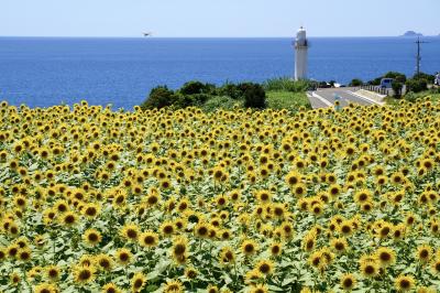 2025 気温35℃、酷暑でも見に行きたい夏の絶景！