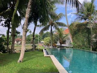 2025年6月：バリ島の休日②、ウブドでのんびり街歩き（Villa Sabandari滞在記）