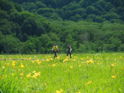 花ざかりの尾瀬トレッキングその1　尾瀬ヶ原編