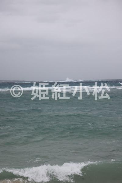 沖縄県(那覇市・西表島・石垣島)めぐる旅 (西表島)2025/04/13