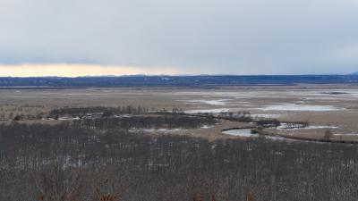 冬の釧路湿原めぐり