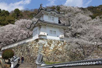 2025年 神戸・姫路・龍野（＋夙川）桜見物 ２日目（その３）