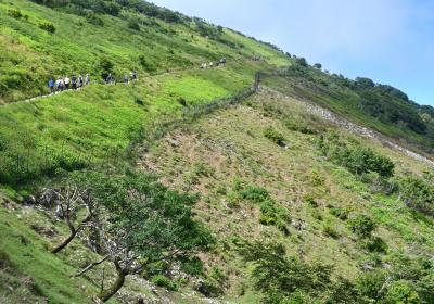 伊吹山（１３７７ｍ）へ涼みに