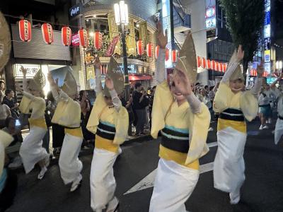 2025年　神楽坂祭の阿波踊り　