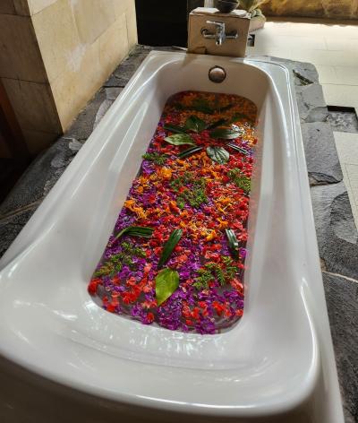 2025 バリ島ウブド１人旅(後半)