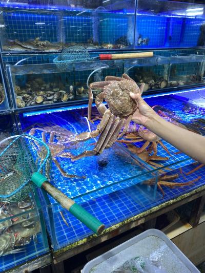 第二の故郷 黒竜江省 牡丹江の旅 その2