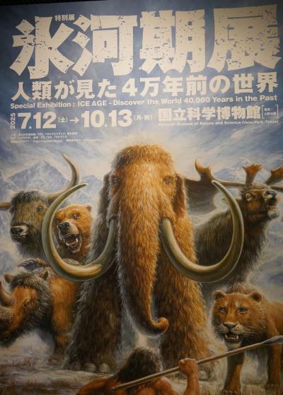 希少　氷河期マンモス標本標本 氷漬けのマンモス標本 - Picture of Zoological Museum of the