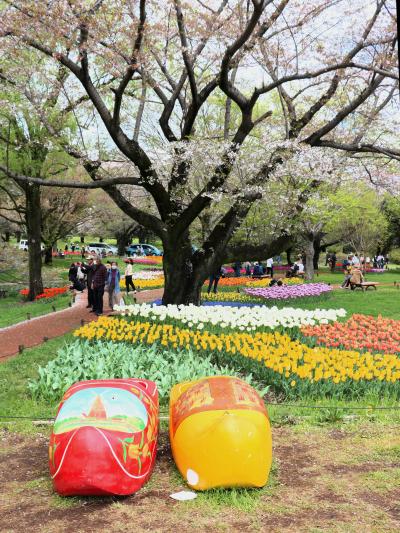 ☆4トラ仲間とのお出かけ☆チューリップと桜と菜の花の昭和記念公園へ　with mistralさん