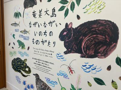 25年夏旅！5年ぶりの奄美大島！！2日目・観光編