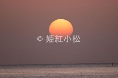 沖縄県(那覇市・西表島・石垣島)めぐる旅 (西表島)2025/04/16