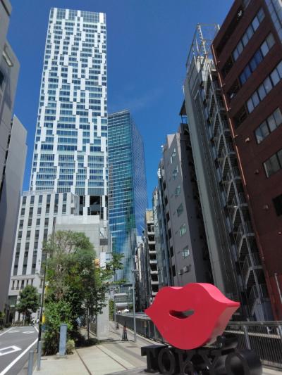 渋谷の金王丸と国学院博物館